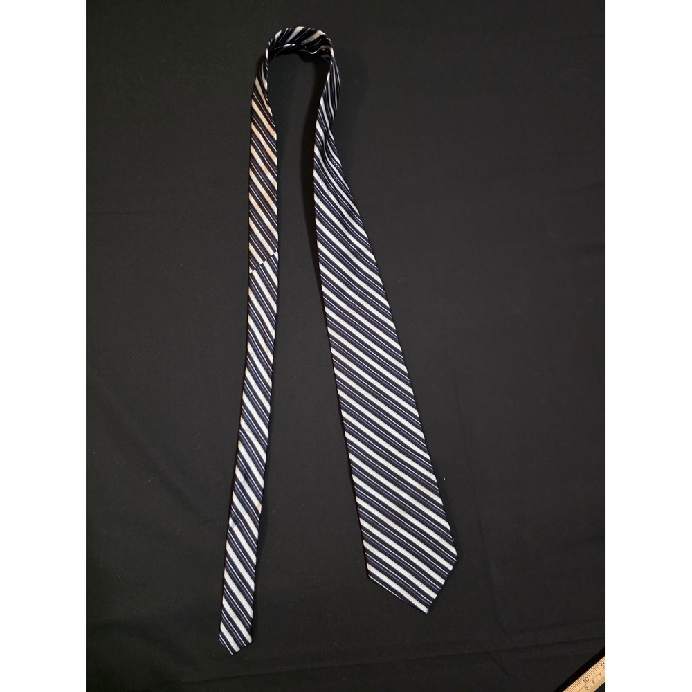 Paul Dione 100% Silk Tie